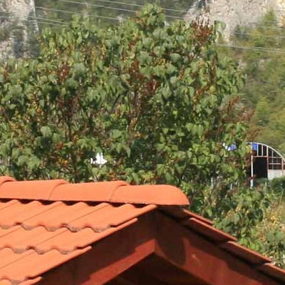 Hut "Teshel"
